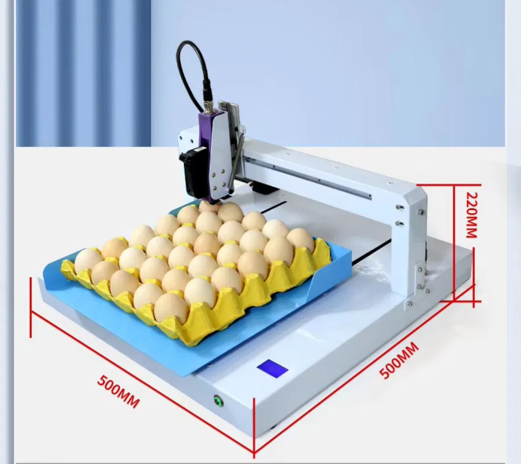 Expiry Date Marking Machine