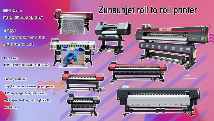 Eco Solvent Printer View 1