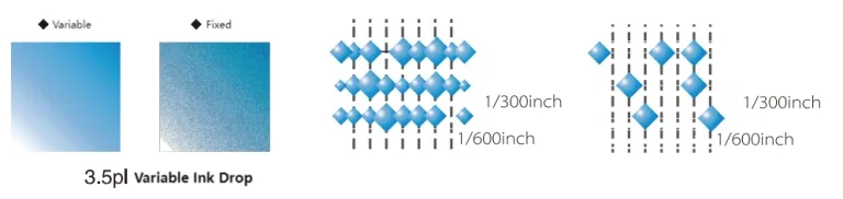 Print Head Configuration