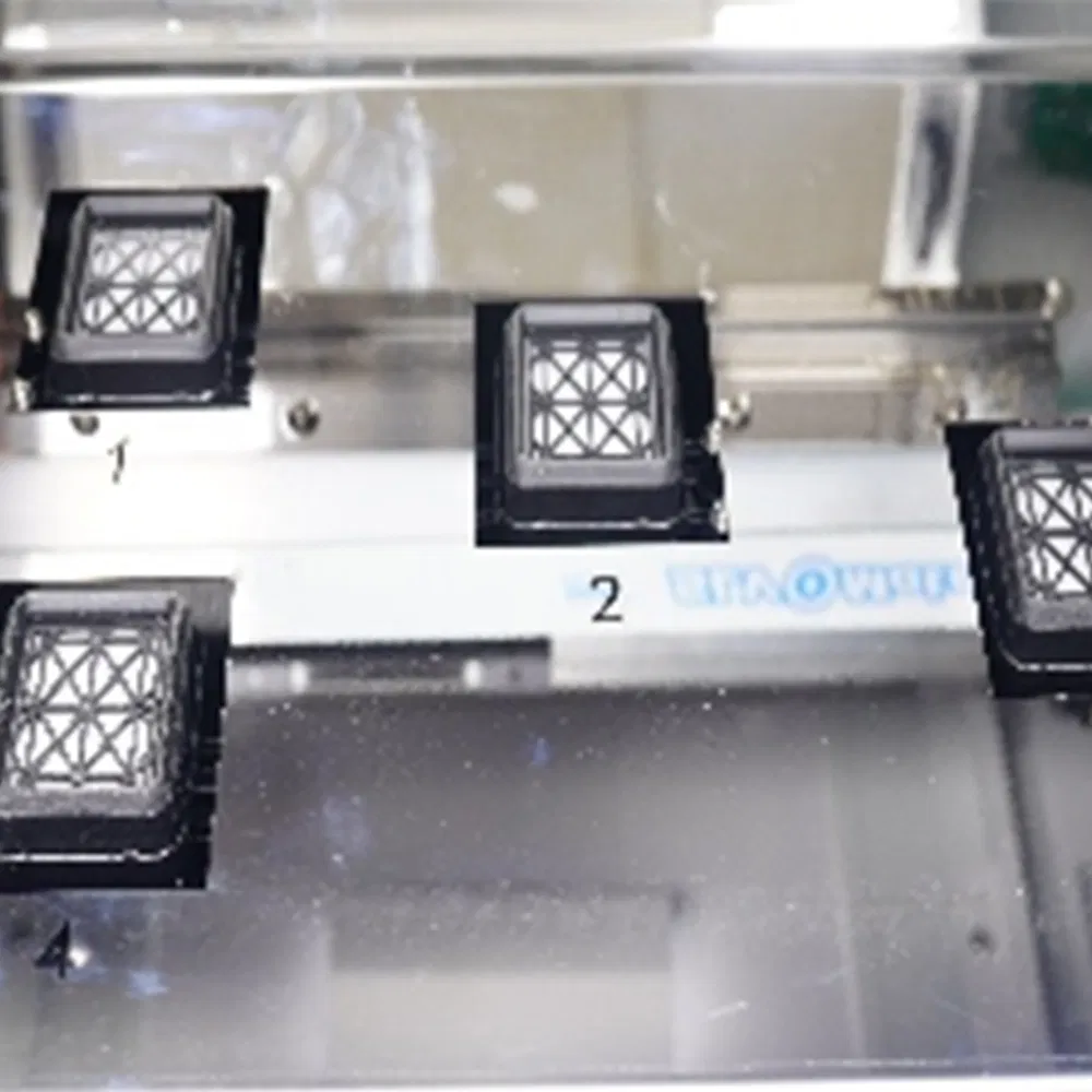 1.8m Best Large Format Eco Solvent Printer Digital Inkjet Printing Machine