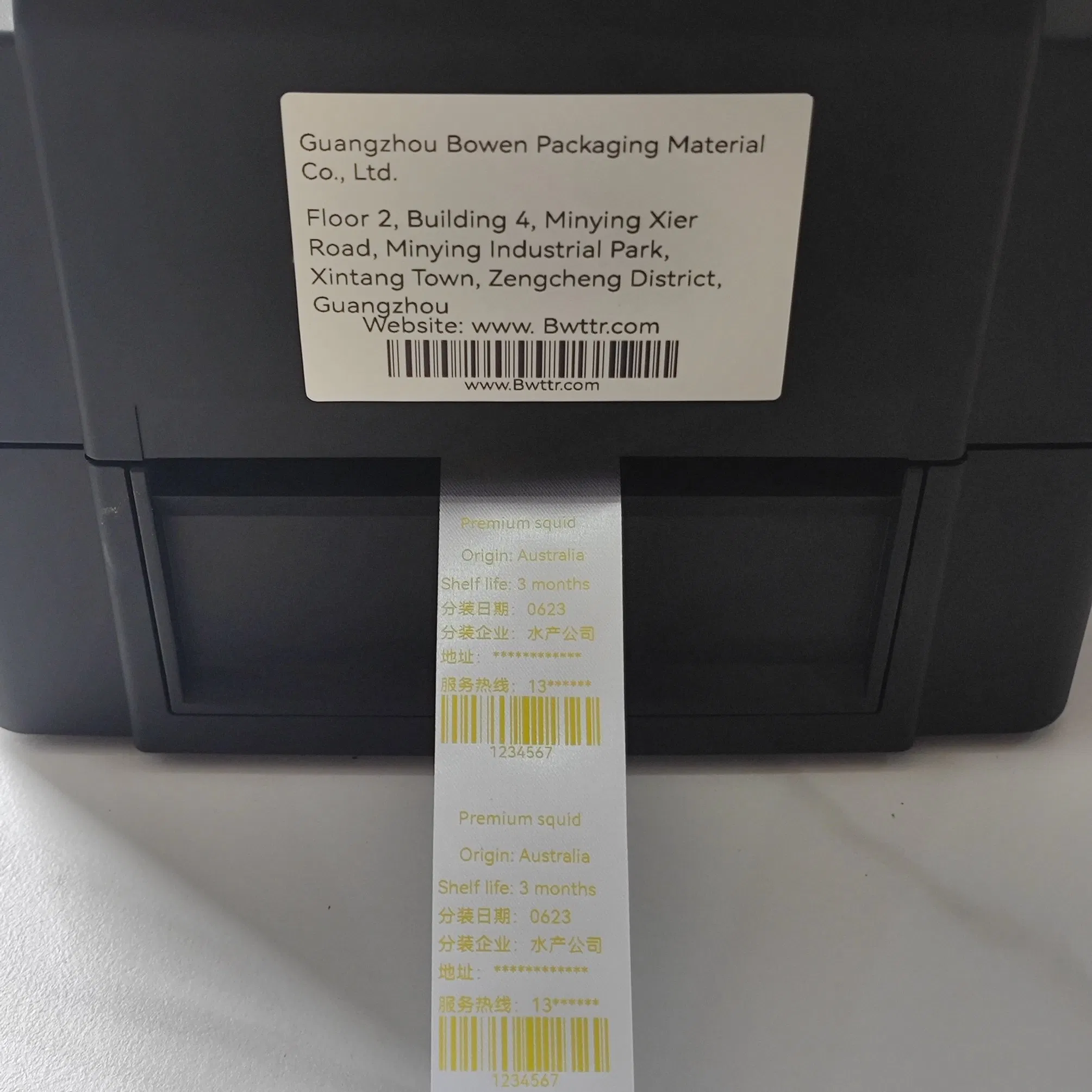 203dpi 300 Dpi Industrial Mini Desktop Direct Thermal Transfer Label Mini Printer