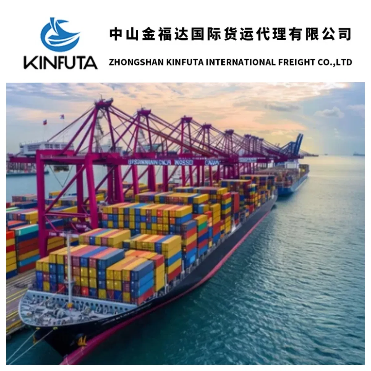 Reliable Freight Forwarding Services From China to Us / Europe by Sea