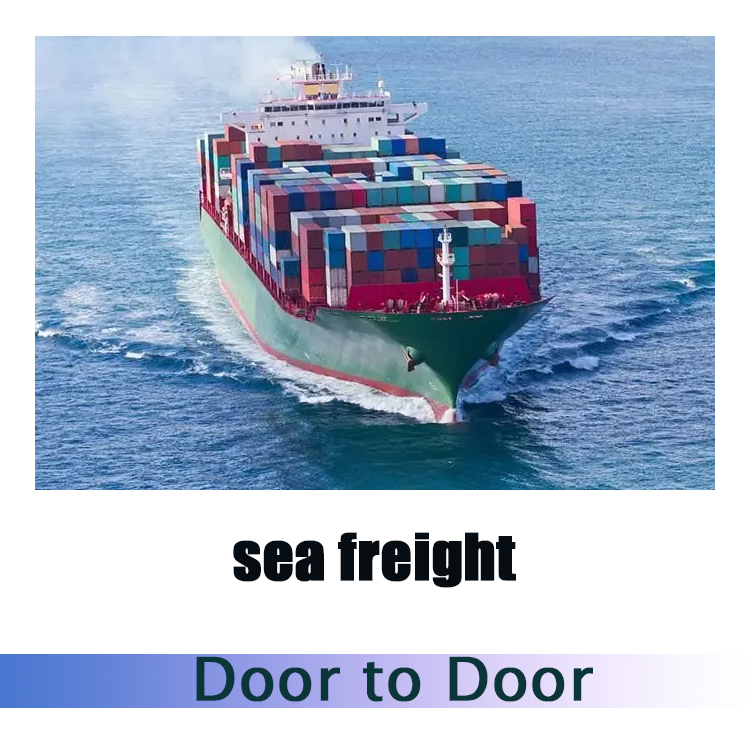 Cheap LCL Shipping Agent Sea Freight Forwarding DDP China to South Africa Door to Door Cargo Services with Customs Clearance