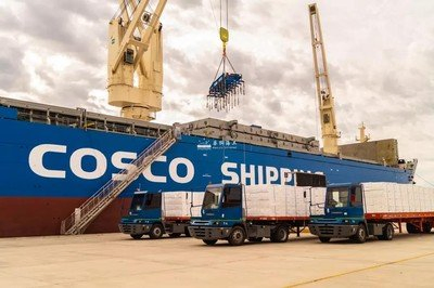 Sea Shipping Service From China to Saudi Australia, Responsible for Customs Clearance, Responsible for Customs Duties, Home Delivery, DDP