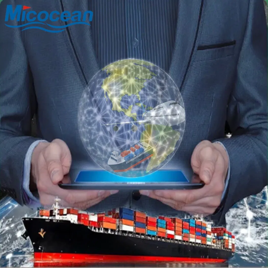 DDP DDU Forwarder Worldwide Sea Shipping Agency Service From China to Estonia