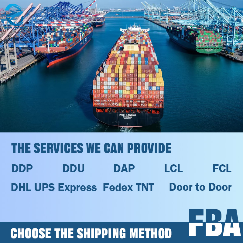 Quality Inspection DDP Delivery Services Sea Shipping From China to Belguim/USA /Canada/UK/Italy/Mexico/Germany/France