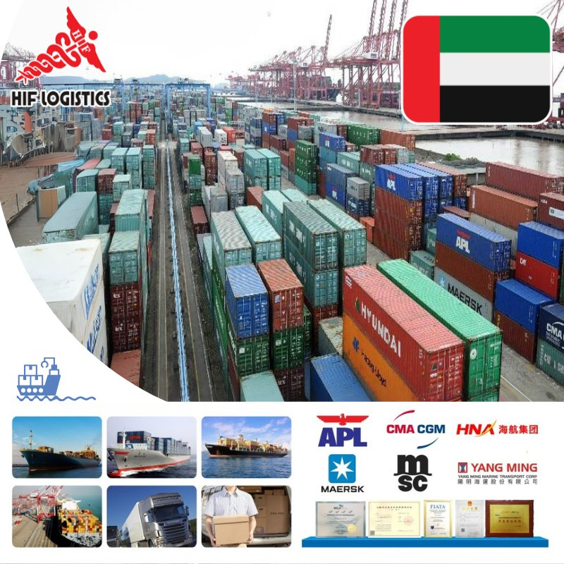 Fast Shipping Container Logistics or Sea Freight Forwarder Service to Worldwide DDP DDU Fob EXW