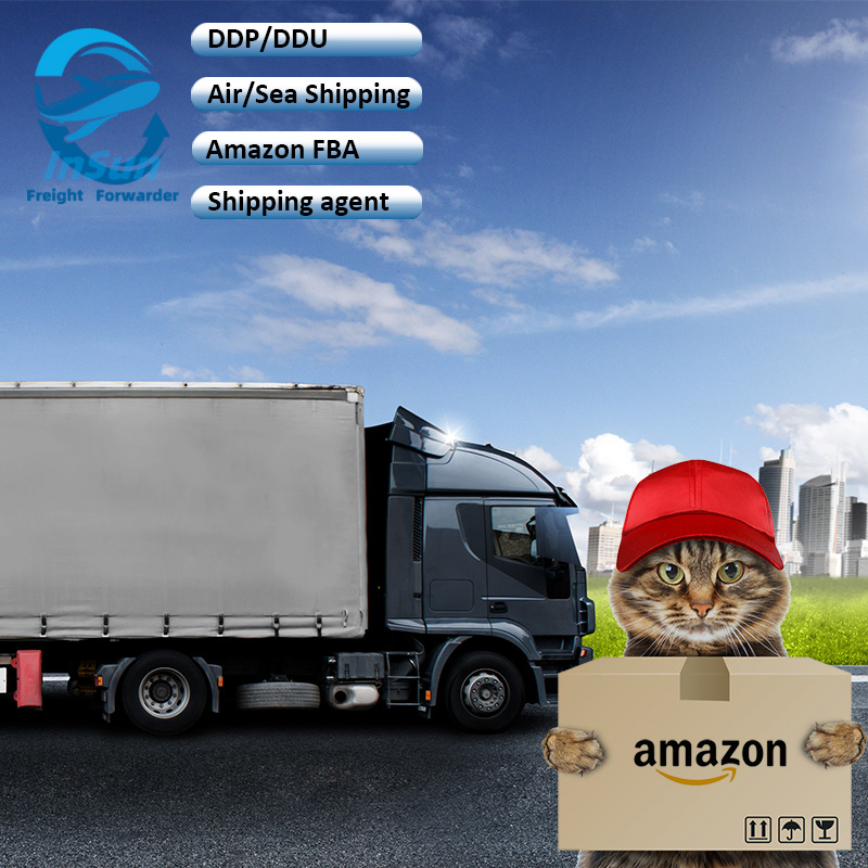 Cheap Sea Express Logistics China to Arab UAE with Amazon Fba Service