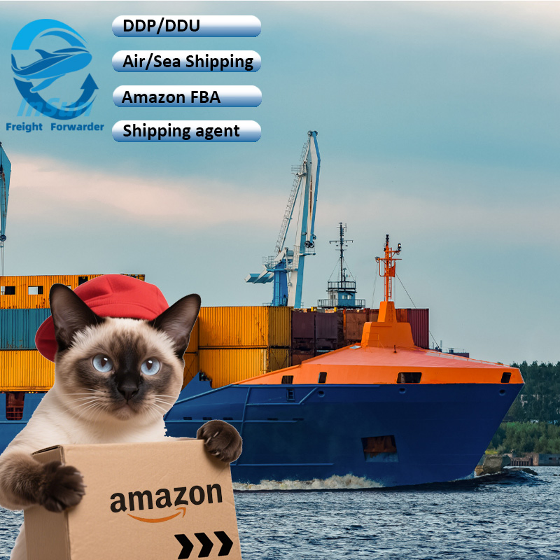 Sea Shipping LCL Integrated DDP Free Fba Label Door to Door Logistics to France