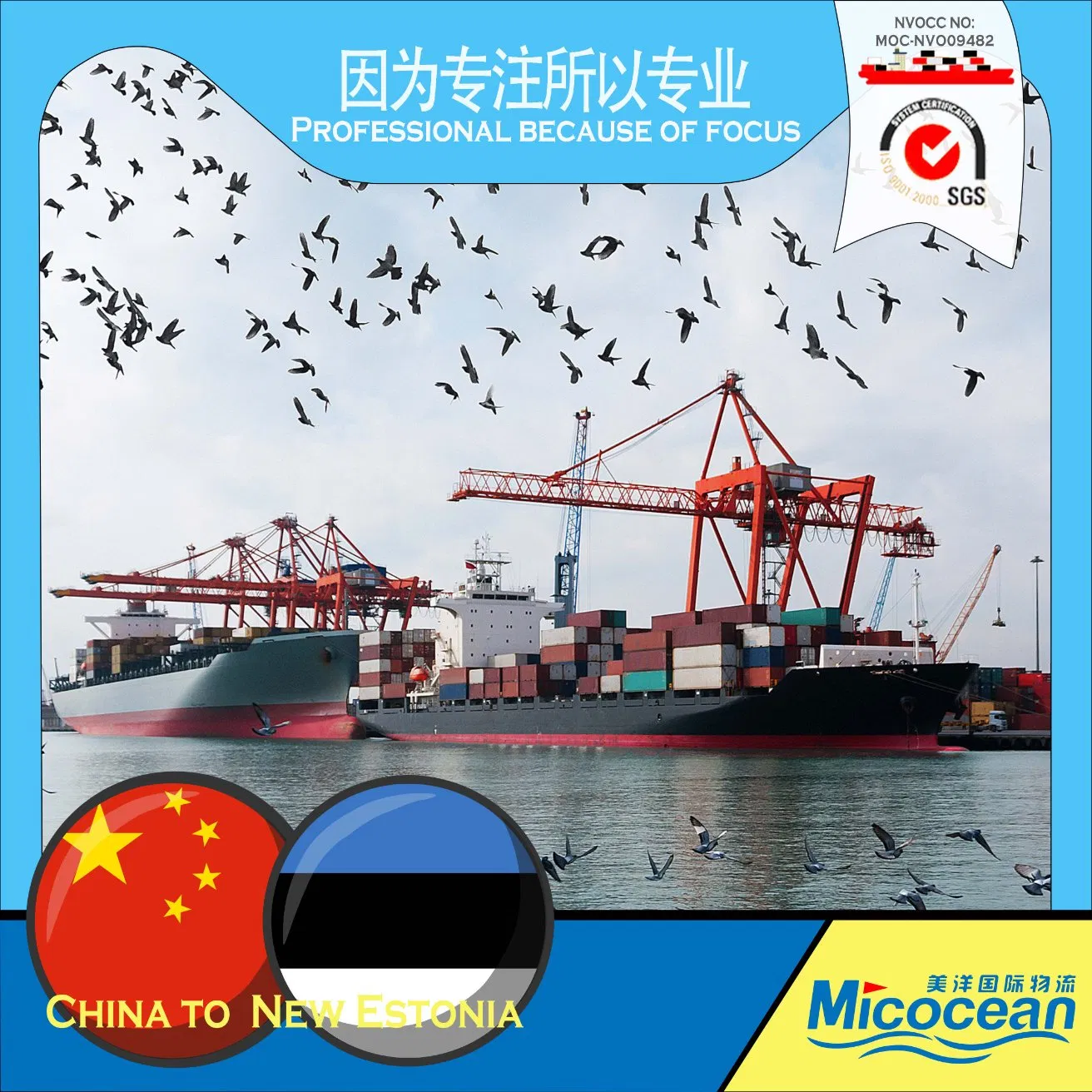 DDP DDU Forwarder Worldwide Sea Shipping Agency Service From China to Estonia