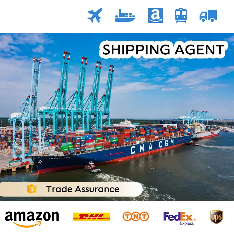 Fast Transit Time Sea Shipping DDP Door to Door Delivery to France Warehouse Freight Service From China