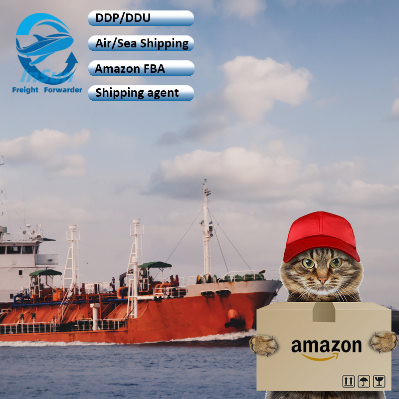 Professional Sea Shipping Agent DHL UPS TNT FedEx EMS International Logistics Door to Door Express Delivery Service to Worldwide