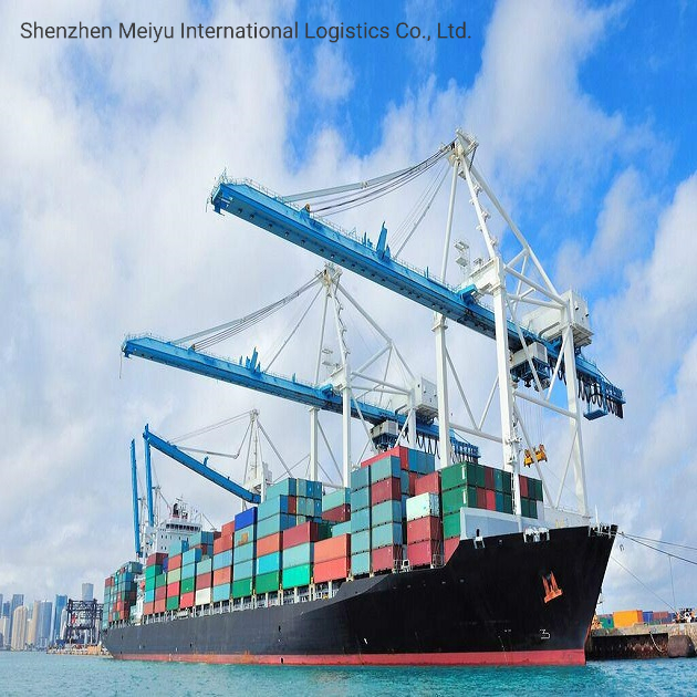 International Sea Shipping From China to Europe Including Customs Clearance Service