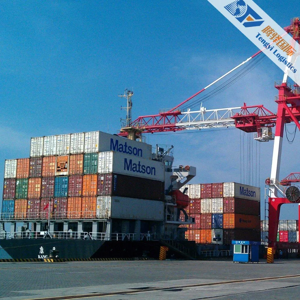 Canada Sea Shipping DDP Logistics Service with Low Shipping Cost