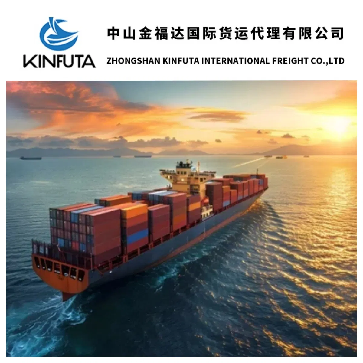 Reliable Freight Forwarding Services From China to Us / Europe by Sea