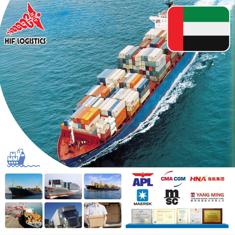 Reliable Sea Freight Forwarding Services to UAE and Saudi Arabia