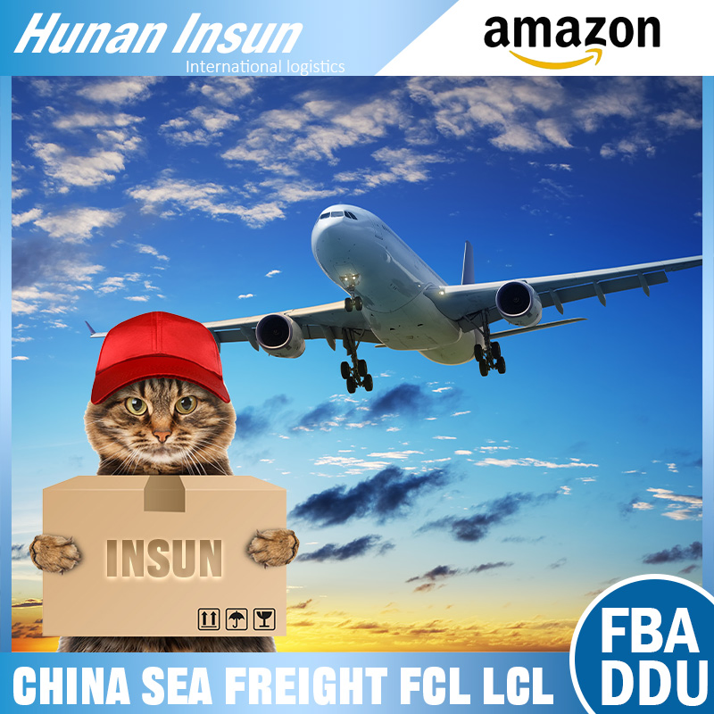 Integrated Freight Handling Reliable DDP Air Freight Providing Fba Labeling and Customs Clearance Services to The United States