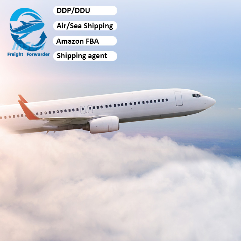 Delivery and Customs Clearance Services and DDP LCL Shipping Services From China to Germany