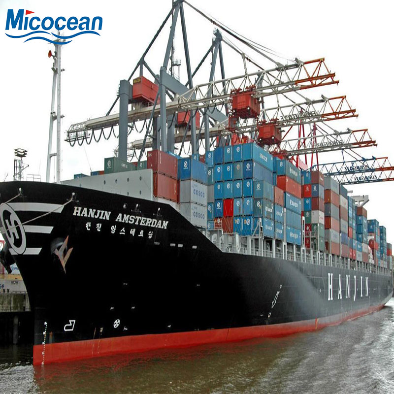 China Safety and Fast Shipping Dangerous Goods DDP Battery Sea Freight From China to Gdynia, Poland