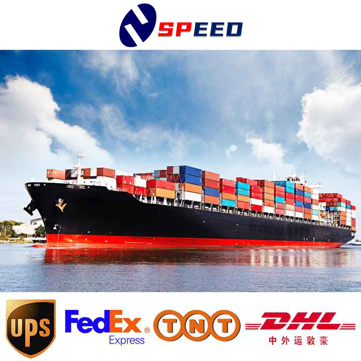 China Freight Forwarder Sea DDP Shipping to Mexico Sea Freight