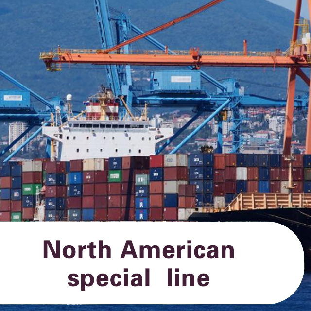 Logistics Services Forwarder China to USA/Canada Sea Freight to Mexico