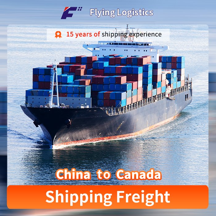 The Best Sea Shipping Freight Forwarder/Agent/Logistics Service From China to Canada with DDP/DDU