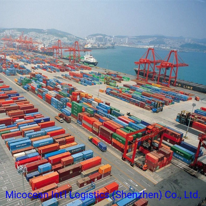 International Logistics DDP DDU Sea Shipping Service From China to Korea