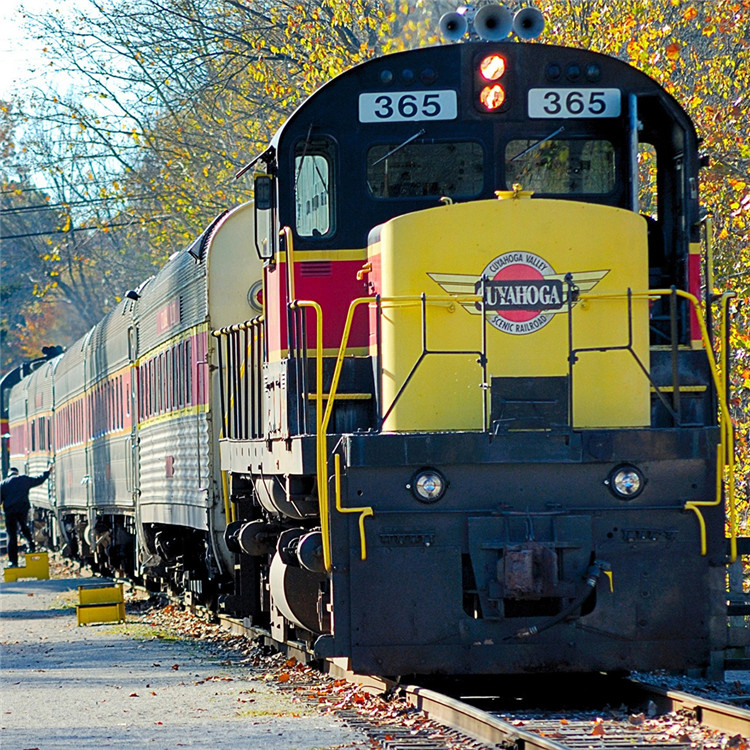 Speed Railway Transport Train DDU/DDP Shipping Door to Door Service to Germany