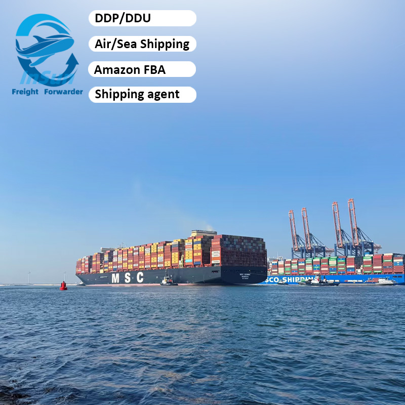 Delivery and Customs Clearance Services and DDP LCL Shipping Services From China to Germany