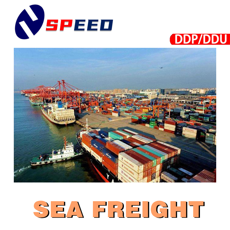 Experienced Service for Sea Freight Shipping with Cheap Costs to Mexico
