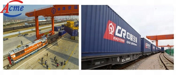 Shipping Agent Customs Clearance Service