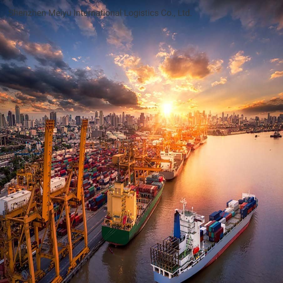 International Sea Shipping From China to Europe Including Customs Clearance Service