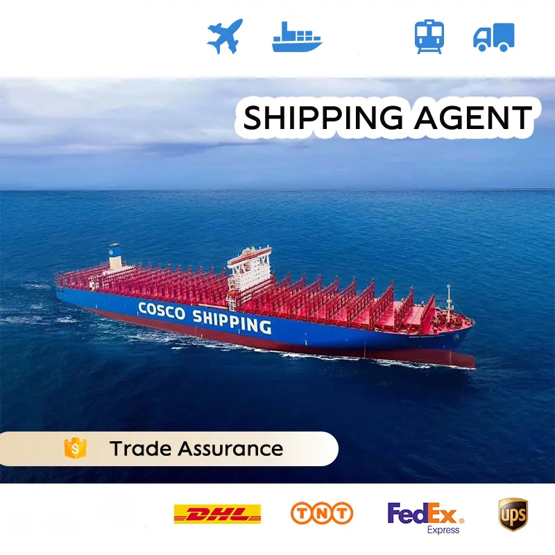 Fast Transit Time Sea Shipping DDP Door to Door Delivery to France Warehouse Freight Service From China