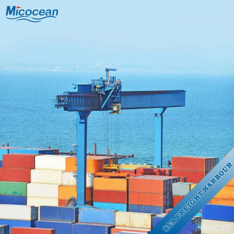 International Logistics Sea Shipping Agency Services From China to Argentina