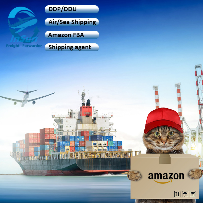 Professional Sea Shipping Agent DHL UPS TNT FedEx EMS International Logistics Door to Door Express Delivery Service to Worldwide