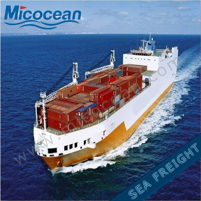 International Logistics Sea Shipping Agency Services From China to Argentina