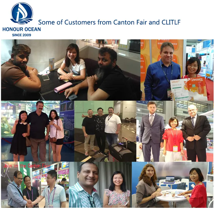 Global Logistics Shipping