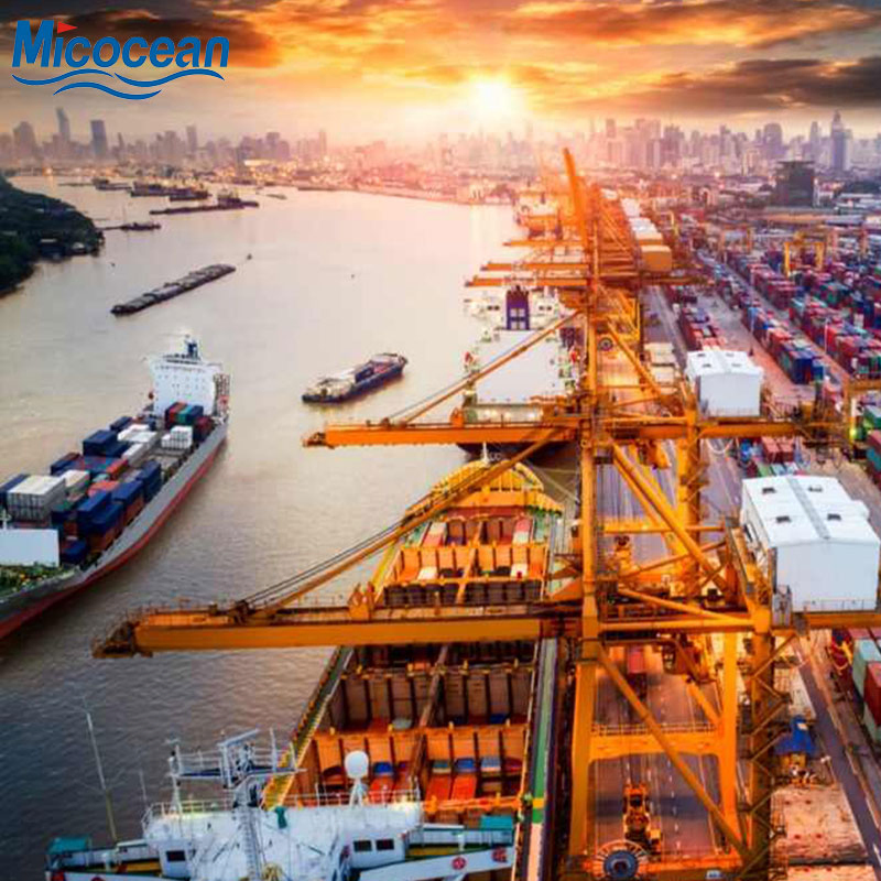 Dangerous Goods Battery Shipping Container Sea Freight From China to All Over The World