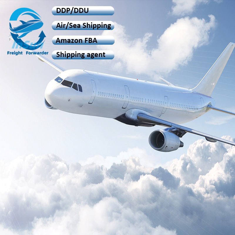 Comprehensive Door-to-Door Air/Sea Freight Forwarding Services for Amazon Fba From China to Australia