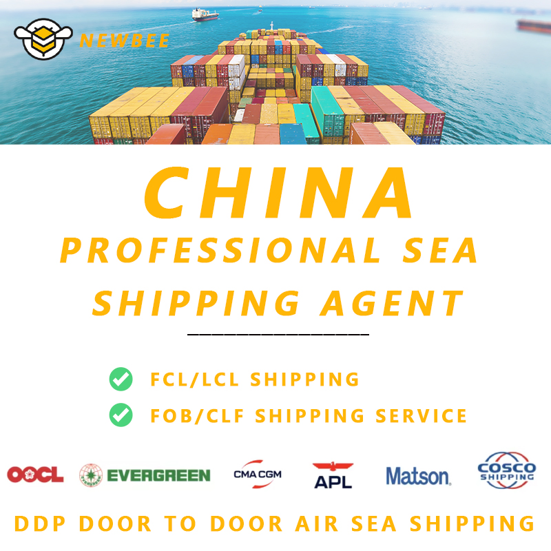 International Shipping Agent Amazon Fba Consolidation Logistics From Ningbo to Bandar Abbas, Iran