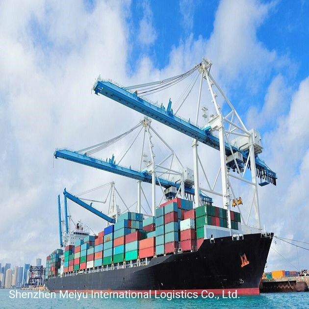 Amazon Fba Air/Sea Freight Forwarder DDP Shipping Service to Us/Canada