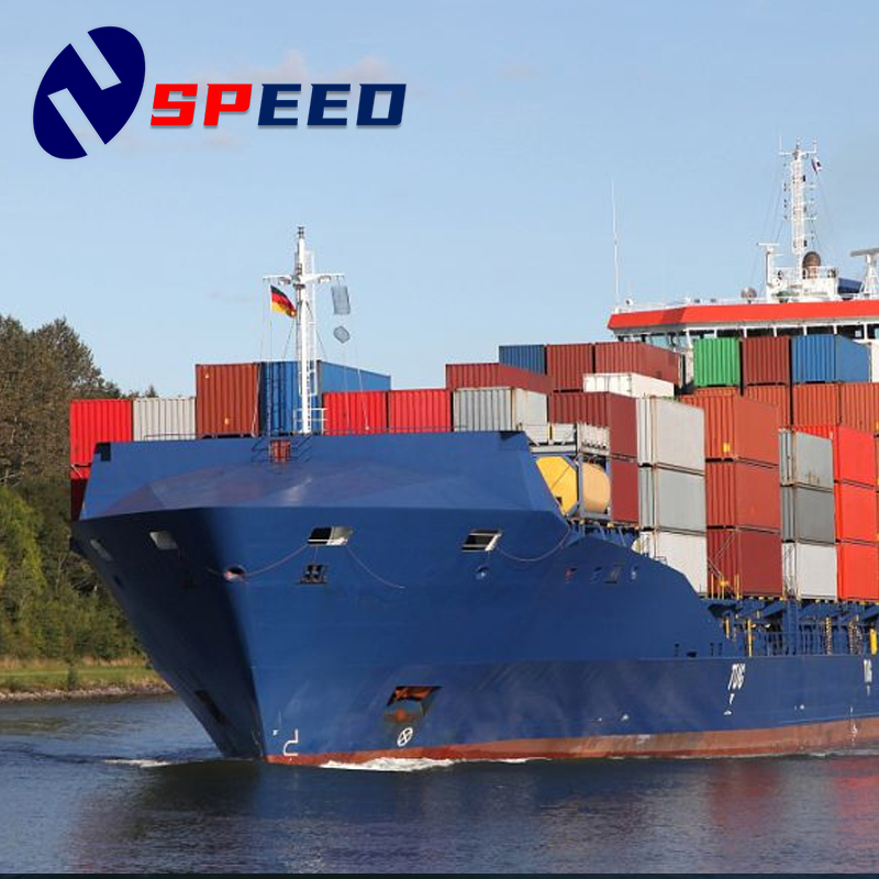 The United States Shipping Door to Door Double Clearance Tax DDP Cross-Border E-Commerce Amazon Fba