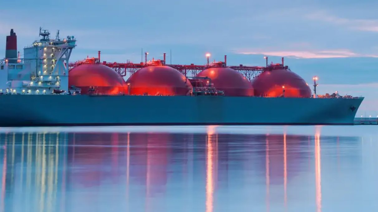 Sea Freight Forwarding Cargo Logistics Service From Shanghai to Puerto Cortes