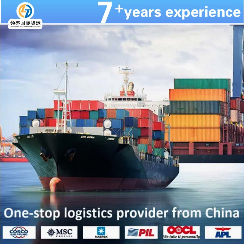China to Malaysia/Singapore/Philippines/Thailand International Sea Freight Forwarding FCL Express Shipping