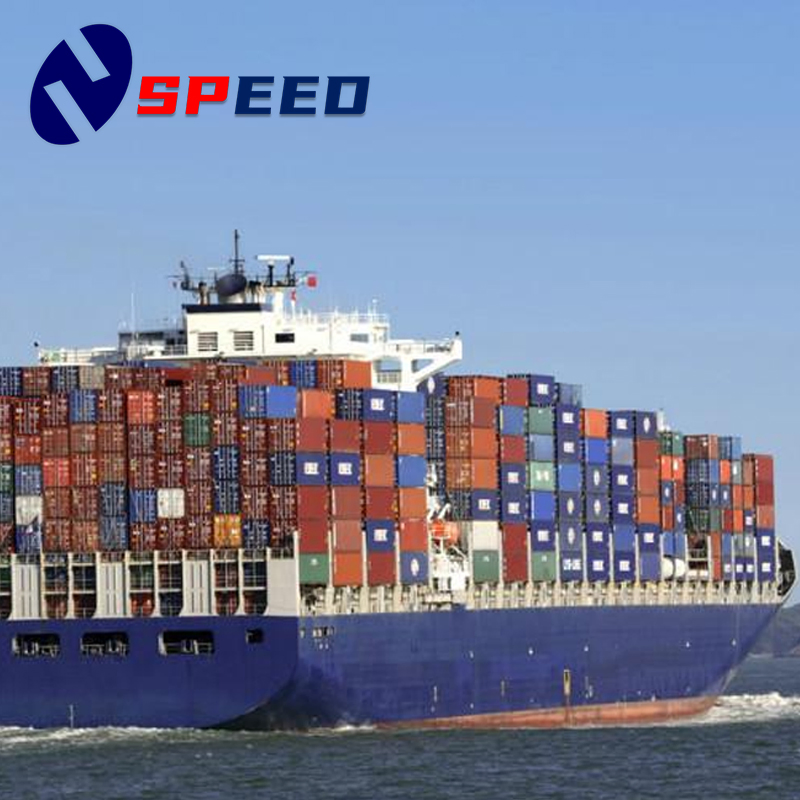 Shipping Services to United States From Shipping Agent China, Door to Door Sea Freight Logistics Delivery America