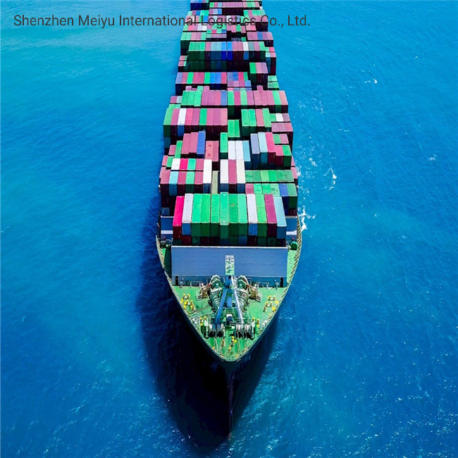 International Sea Shipping From China to Europe Including Customs Clearance Service
