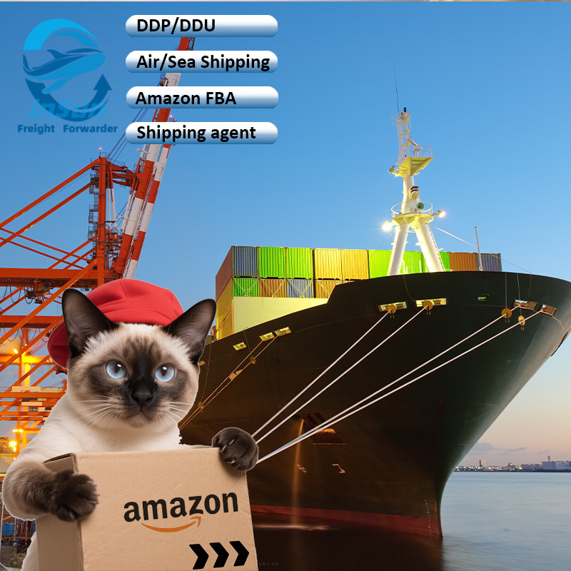 Quality Inspection DDP Delivery Services Sea Shipping From China to Belguim/USA /Canada/UK/Italy/Mexico/Germany/France