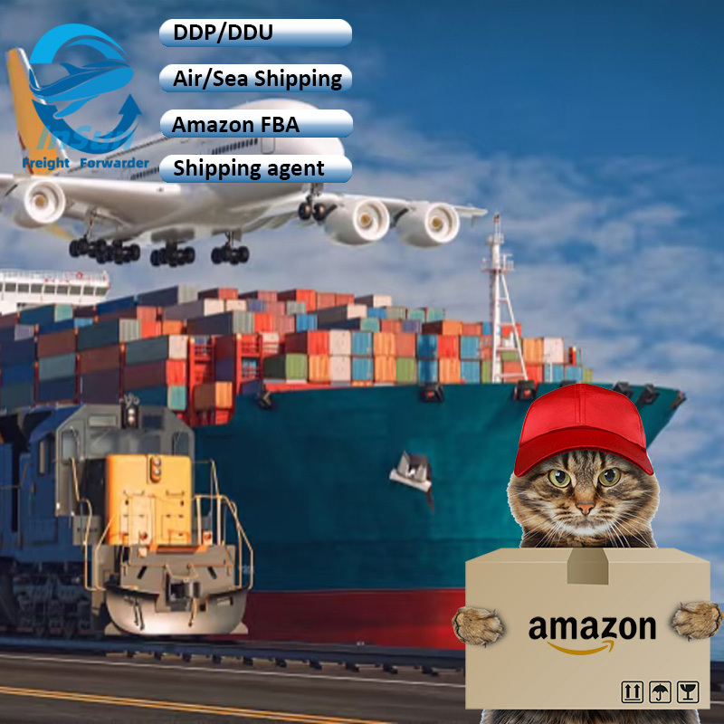 Economical Full Container Shipping Export Customs Clearance DDP Service From China to Spain