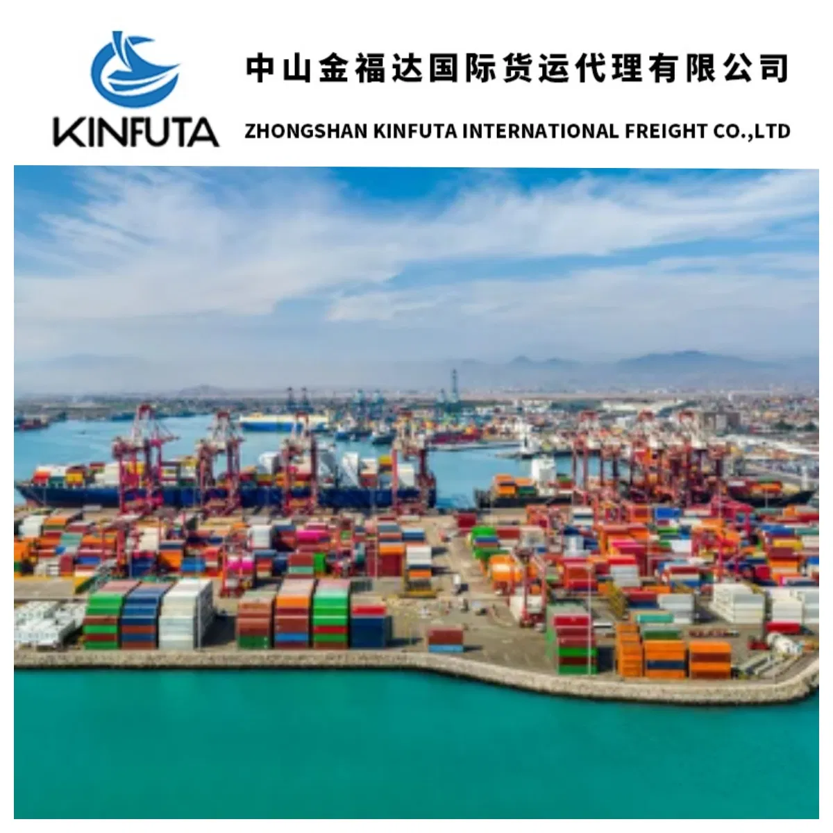 International Express/Courier Shipping Cargo Shipping Services to Sao Jose DOS Pinhais/Sao Paulo/Salvador/Curitiba/Suape/Betim