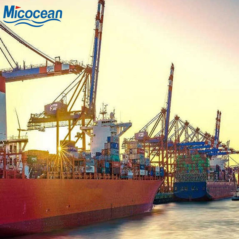 Dangerous Goods Battery Shipping Container Sea Freight From China to All Over The World